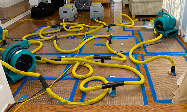Professional Basement Flood Cleanup technician working in Waterboro, ME